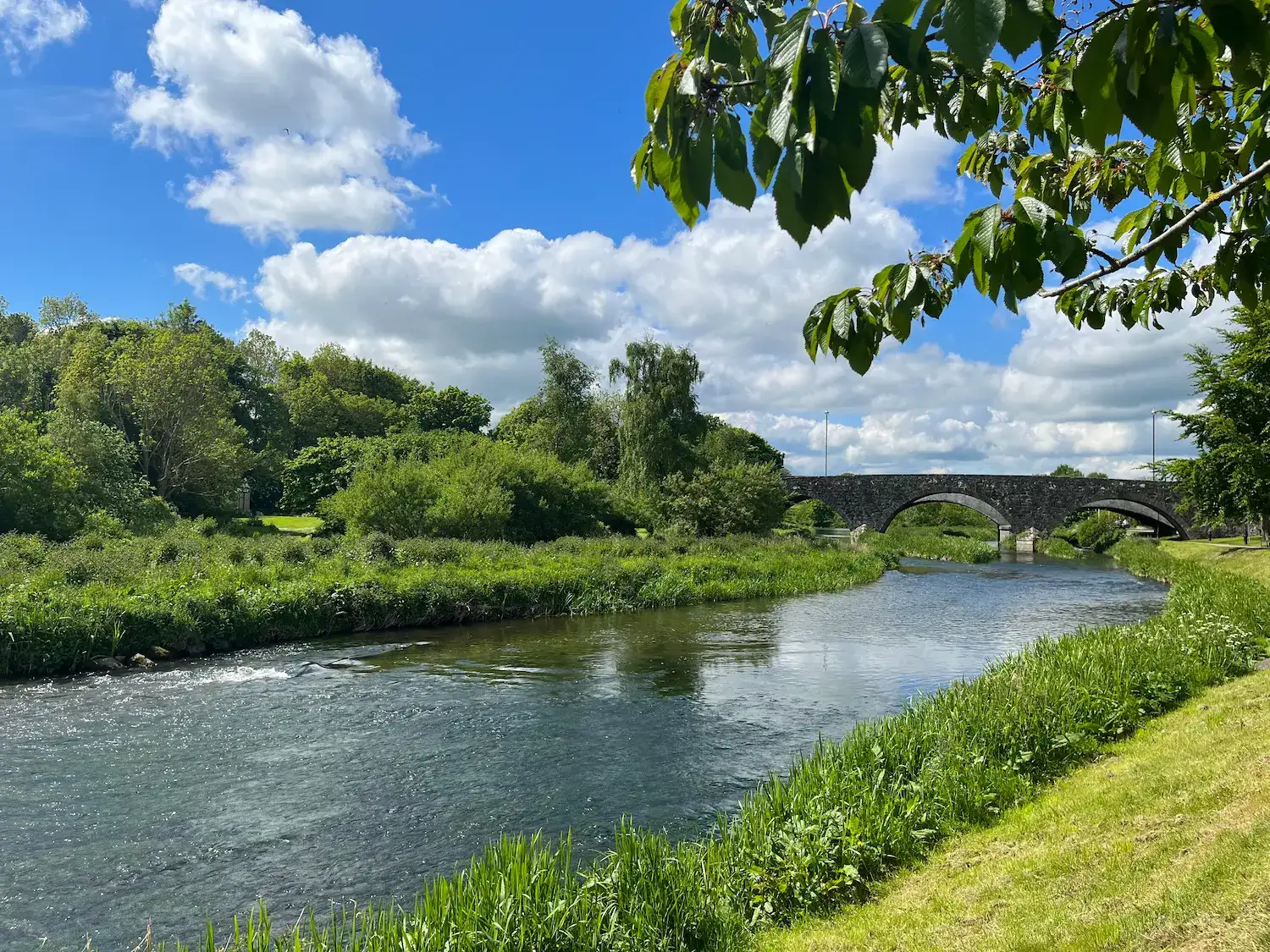 iStock-1461791994 Scenic View of River